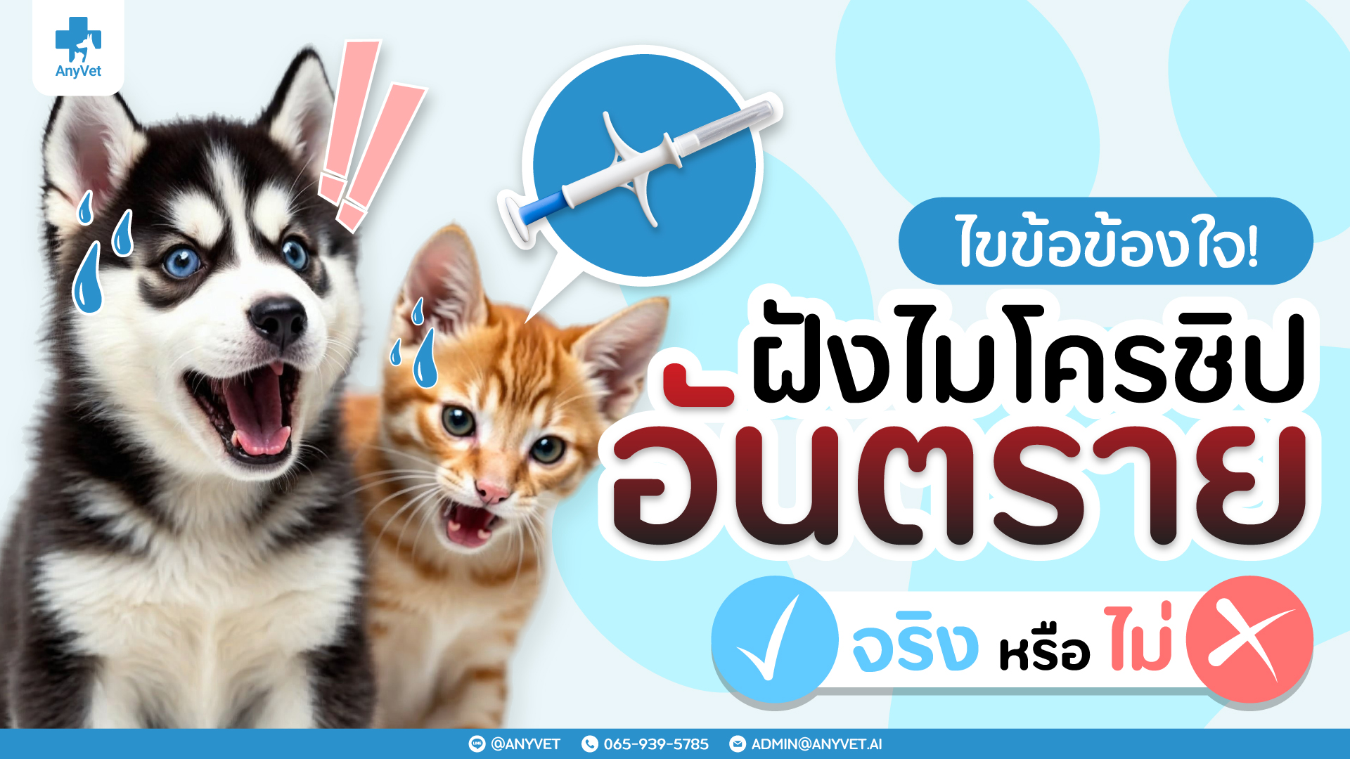 Is Microchipping Your Pet Dangerous? Here’s the Truth You Should Know